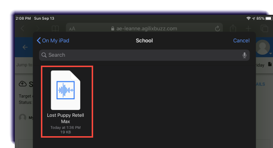 IS-Audio_recording-select_recording.png